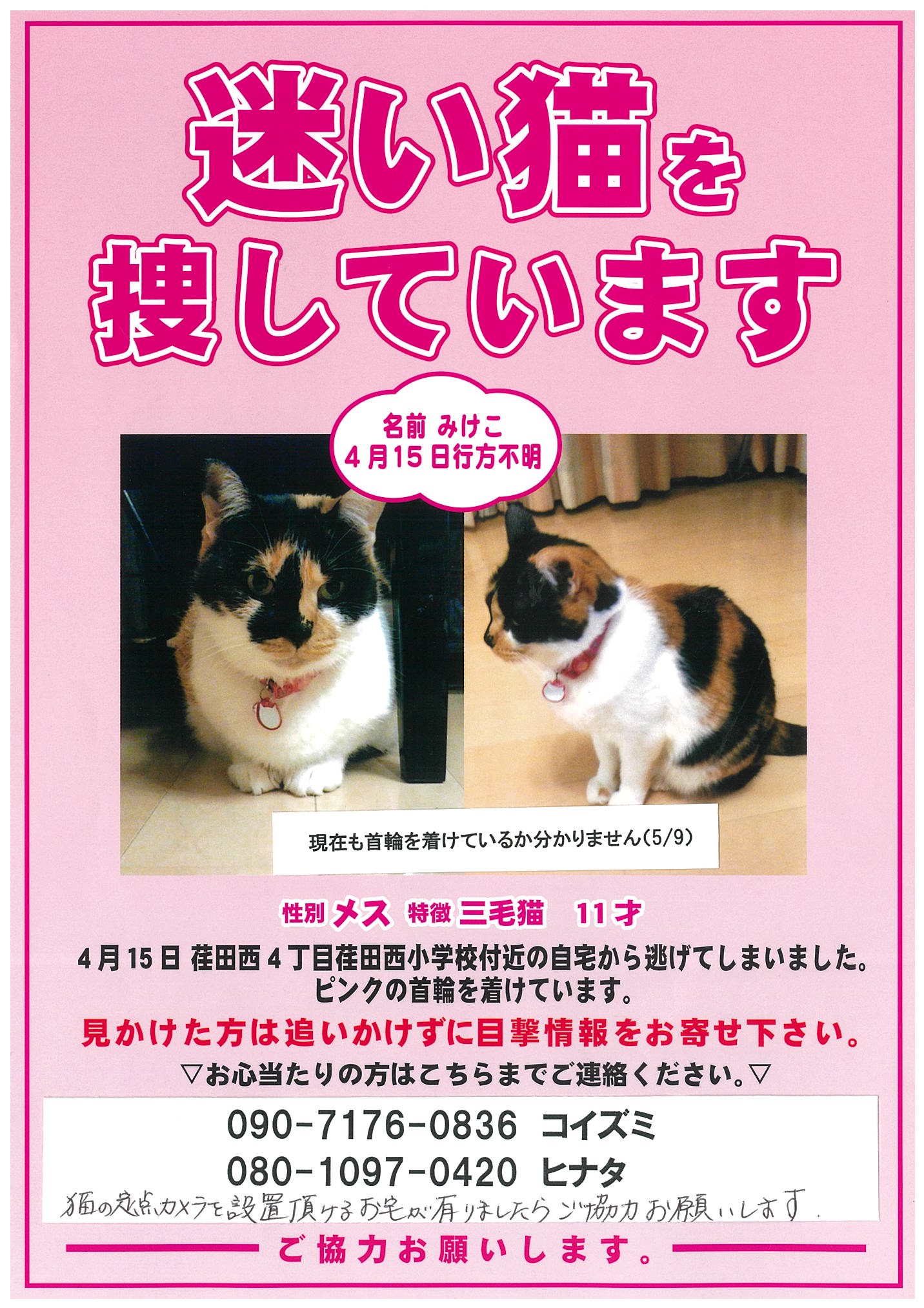 迷子猫の三毛猫 みけこちゃんを現在も必死で探しています いつもへそ天 迷子猫の三毛猫 みけこちゃんを現在も必死で探しています いつもへそ天